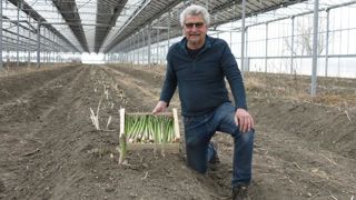 Sous cette serre équipée de panneaux photovoltaïques, Régis Serres produit des asperges vertes destinées à un créneau haut de gamme. © Frédérique Ehrhard Sous cette serre équipée de panneaux photovoltaïques, Régis Serres produit des asperges vertes destinées à un créneau haut de gamme. © Frédérique Ehrhard